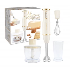 Coupon 🥰 Mixeur Plongeant Hachoir Scrapcooking 🎁