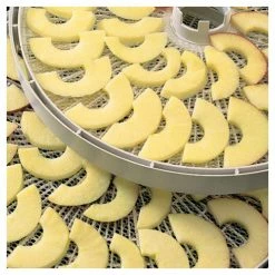 Promo 🎁 Plateaux (x2) pour Déshydrateur ULTRA1000 Ezidri 🧨